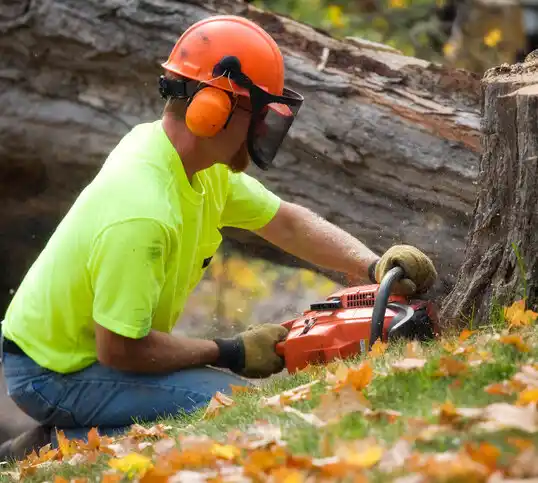 tree services Wenonah